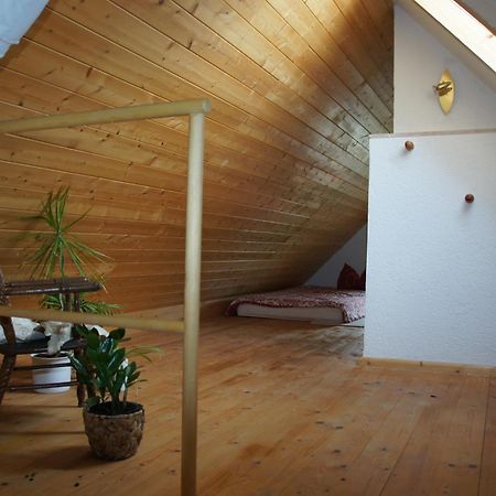 Schwalbennest Kaisitz Apartment Bagian luar foto