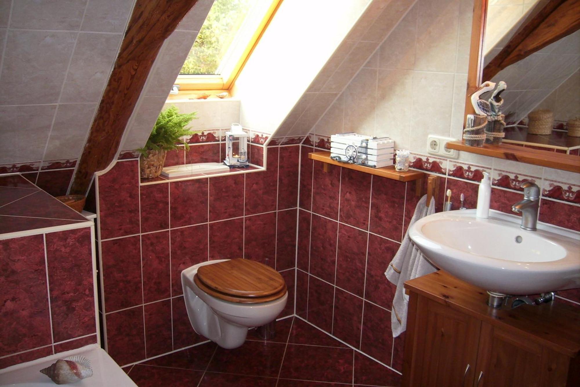 Schwalbennest Kaisitz Apartment Bagian luar foto