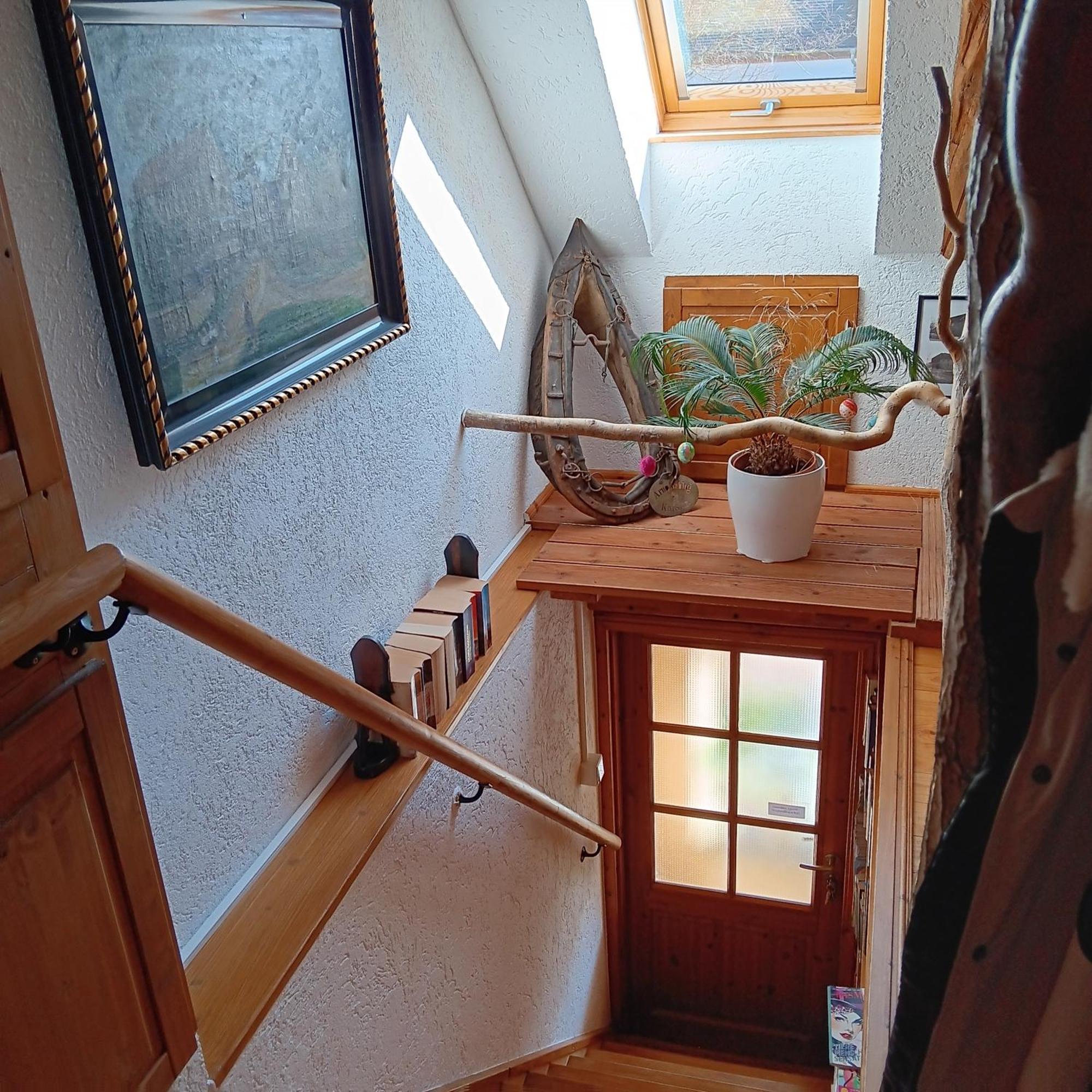 Schwalbennest Kaisitz Apartment Bagian luar foto